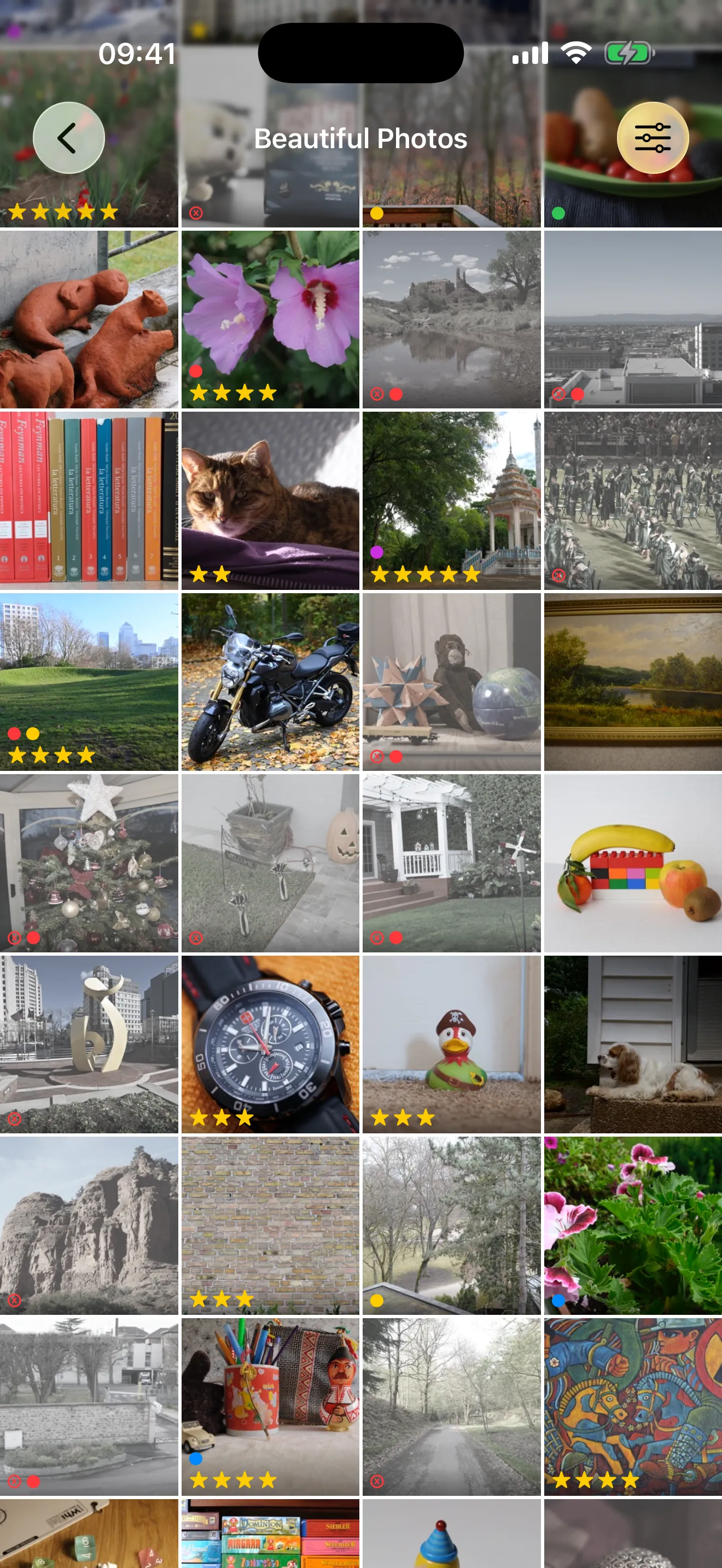 Gallery grid view
